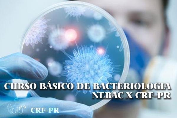 Curso Básico de Bacteriologia em Curitiba - Módulo III - Dia 07/06