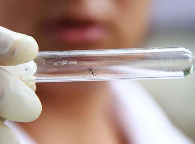 Rio prepara mudanças de protocolo na notificação de casos suspeitos do vírus zika