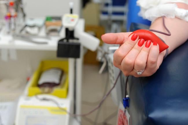 Hemepar precisa aumentar número de doações de sangue antes do Carnaval