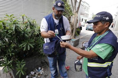 Anvisa dá aval temporário a uso de mosquito transgênico