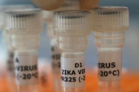 Vacina contra zika deve ser testada em animais a partir de novembro