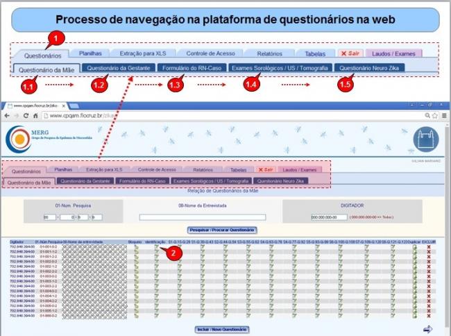 Fiocruz desenvolve sistema para estudar infecção pelo zika vírus e microcefalia