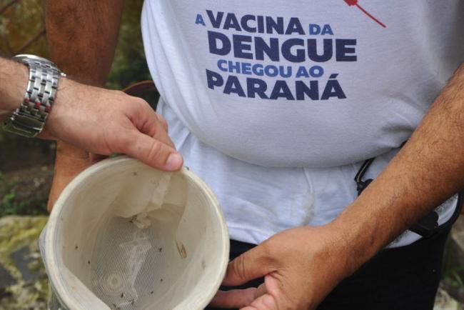 Estado reforça ações de combate ao mosquito da dengue em Paranaguá