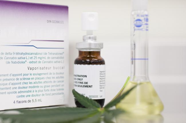 Registrado primeiro medicamento à base de Cannabis sativa