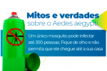 Conheça o ciclo de vida do Aedes aegypti e saiba como evitar a proliferação do mosquito