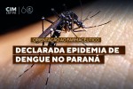 Declarada epidemia de dengue no Paraná