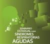 Enfrentamento da gripe é tema de seminário em Curitiba